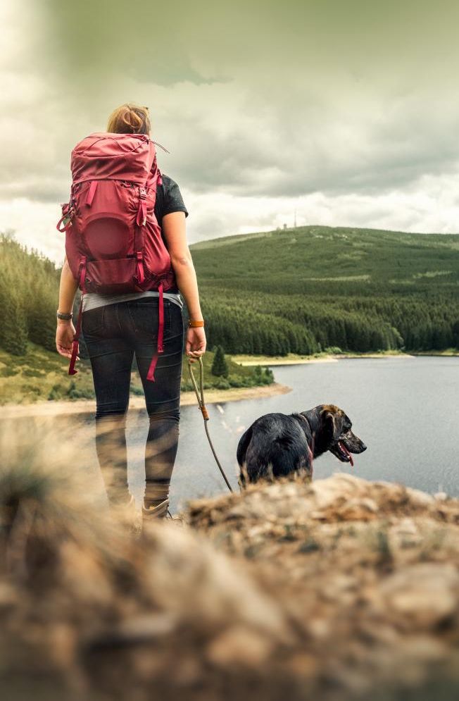 Hund an der Leine auf dem Wanderweg