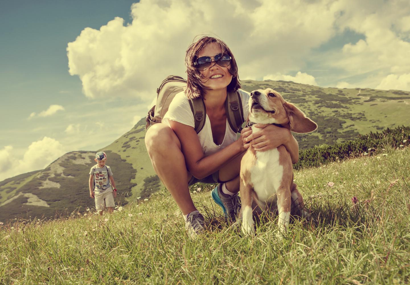 Wandern mit Hund über eine Bergwiese