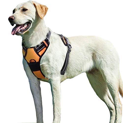 Y-Geschirr für Hunde